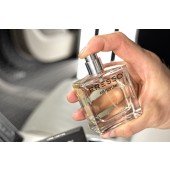 Parfum auto Fresso Gentleman Air Perfume (50 ml)